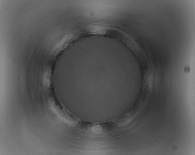 X0000111370600200907171200