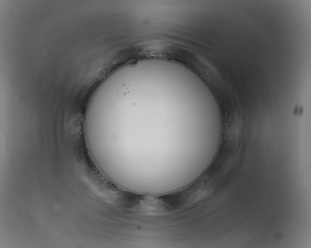 X0000111370603200907171200