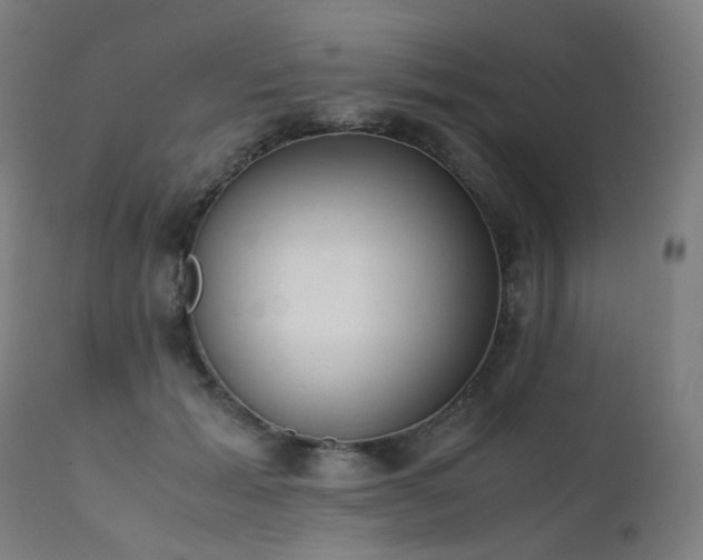 X0000111370605200907171200