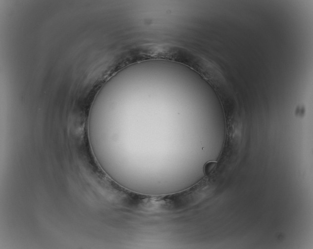 X0000111370607200907171200