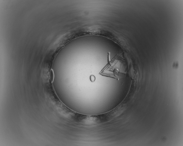 X0000111370609200907171200