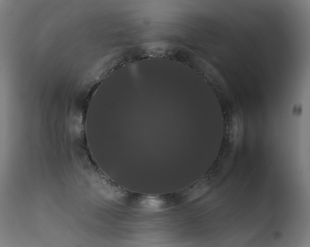 X0000111370610200907171200