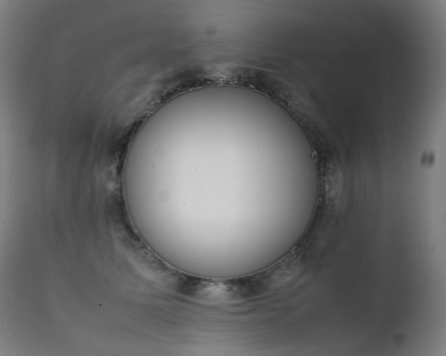 X0000111370611200907171200