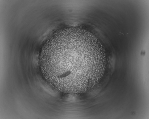 X0000111370612200907171200