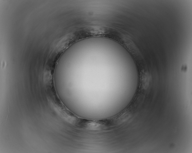 X0000111370614200907171200