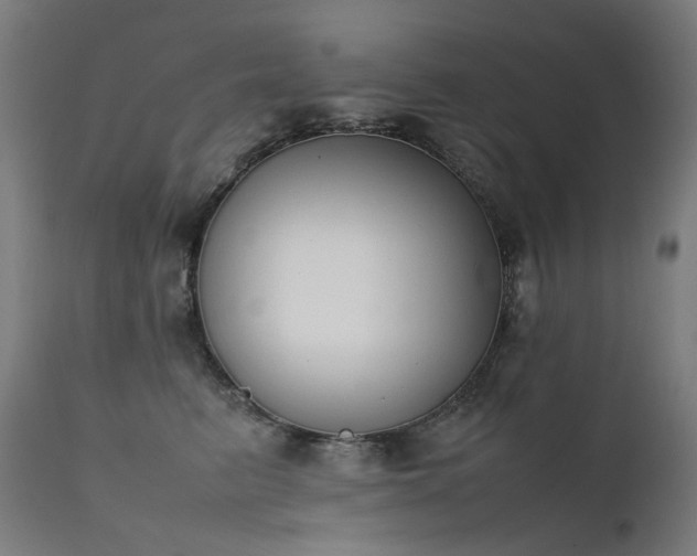 X0000111370615200907171200