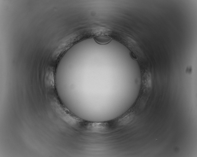 X0000111370622200907171200