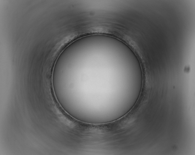 X0000111370625200907171159