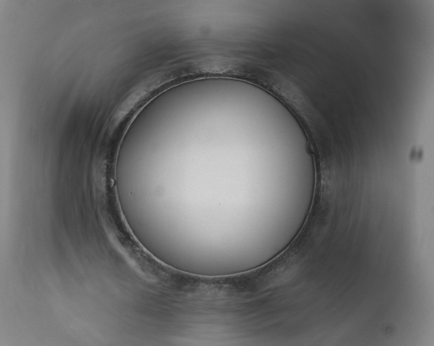 X0000111370626200907171159