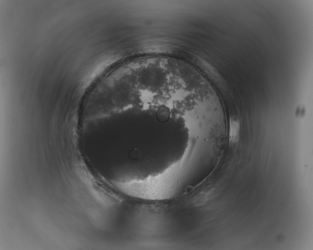 X0000111370627200907171159