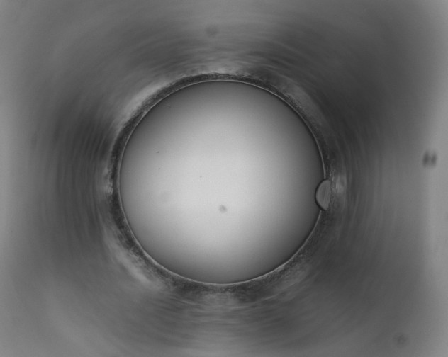 X0000111370628200907171159