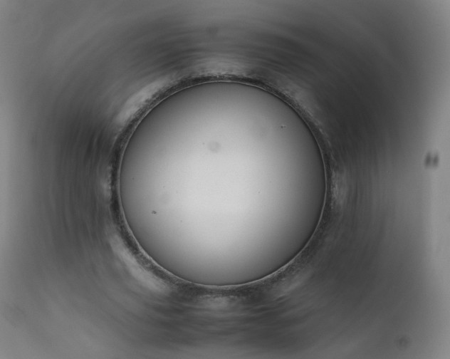 X0000111370629200907171159