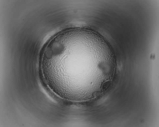 X0000111370630200907171159