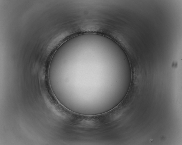 X0000111370631200907171159