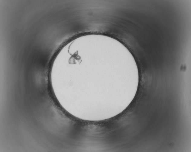 X0000111370632200907171159