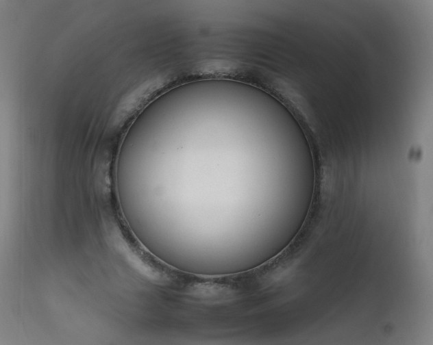 X0000111370633200907171159