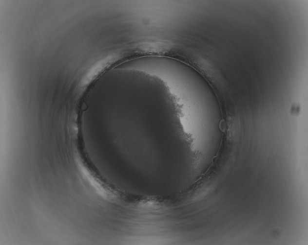 X0000111370634200907171159