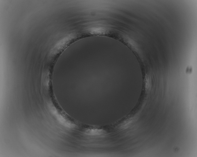 X0000111370637200907171159