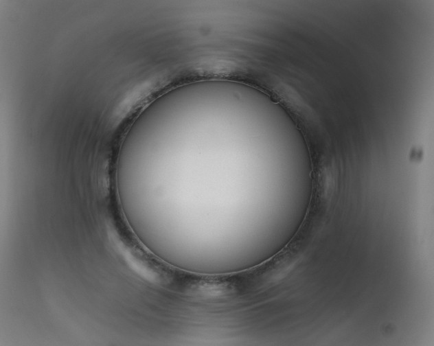 X0000111370638200907171159