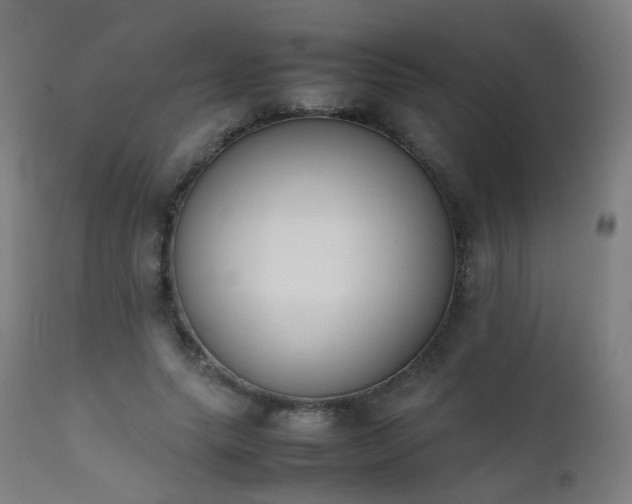 X0000111370639200907171159