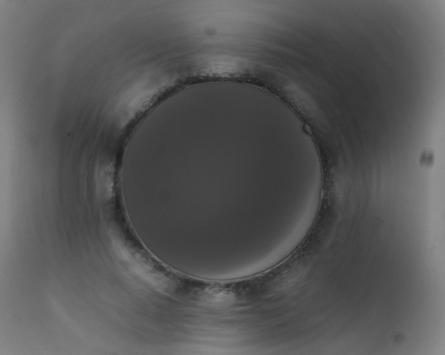 X0000111370640200907171159