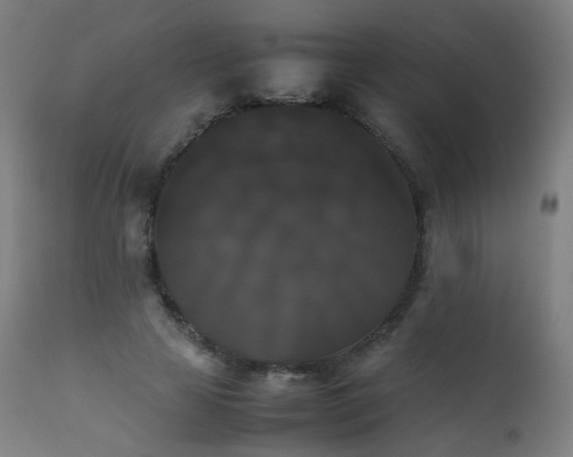 X0000111370641200907171159