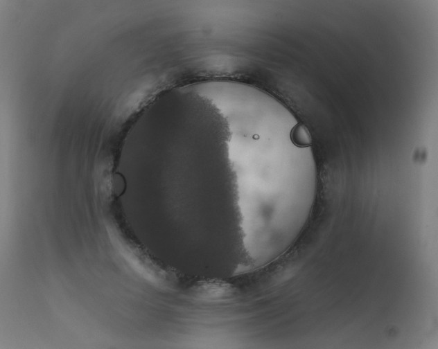 X0000111370642200907171159