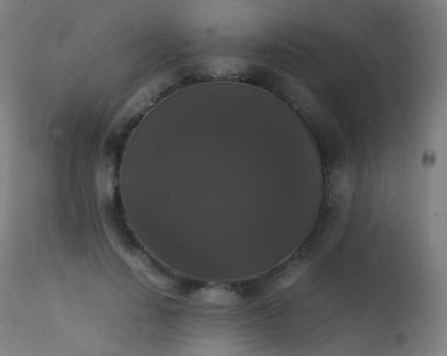 X0000111370644200907171159