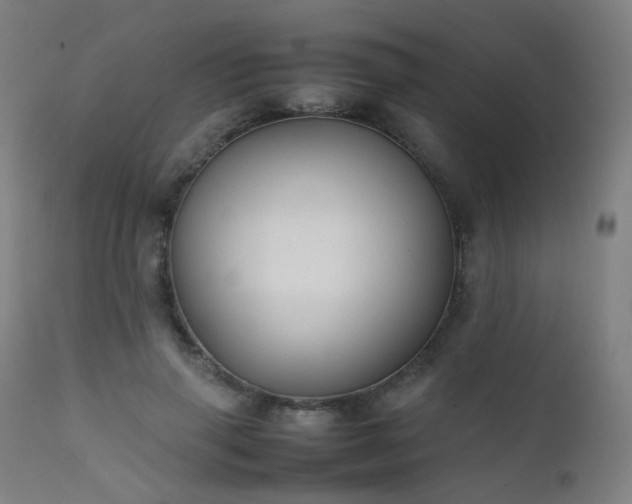 X0000111370645200907171159