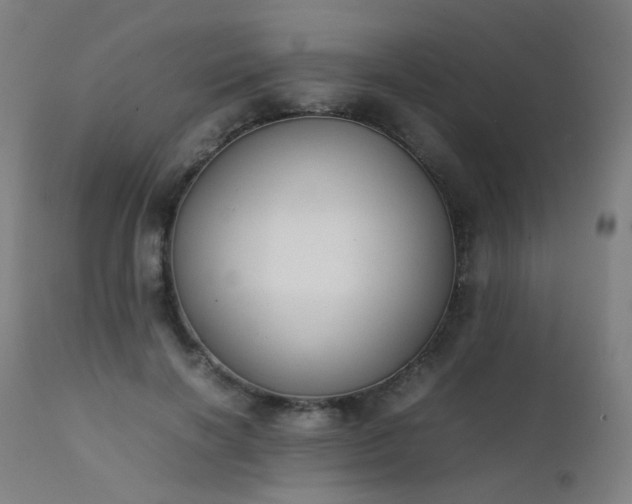 X0000111370646200907171159