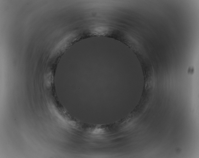 X0000111370647200907171159