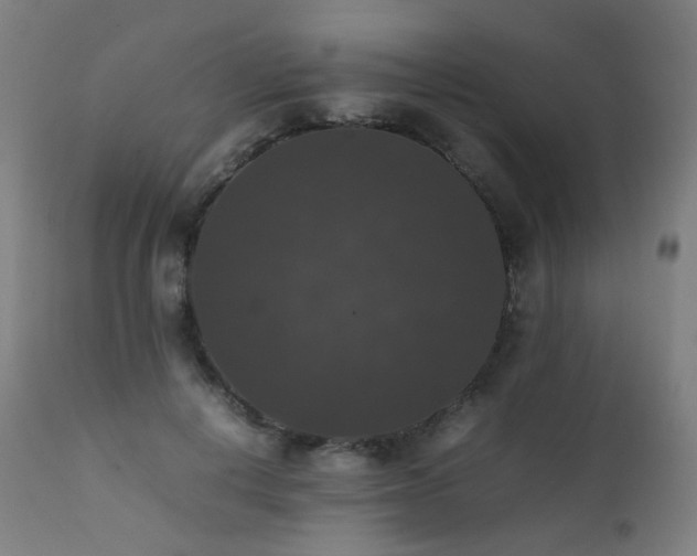 X0000111370648200907171159