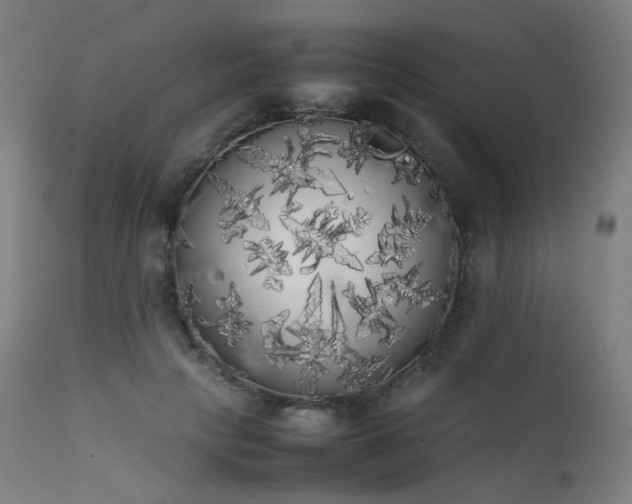 X0000111370649200907171159
