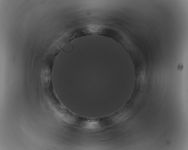 X0000111370651200907171159