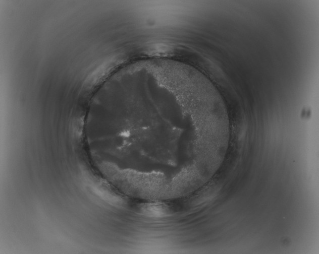 X0000111370652200907171159