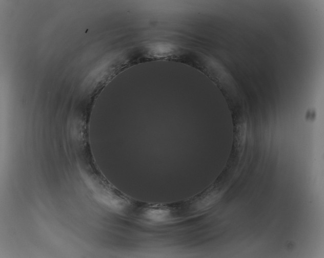 X0000111370653200907171159