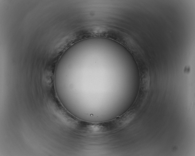 X0000111370654200907171159