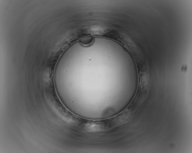 X0000111370655200907171159