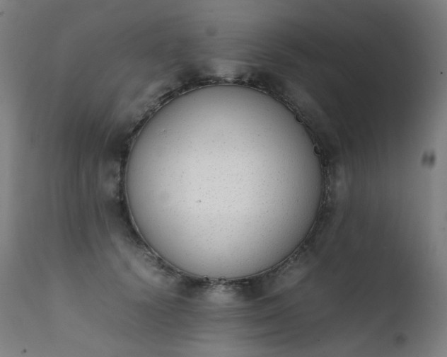 X0000111370656200907171159