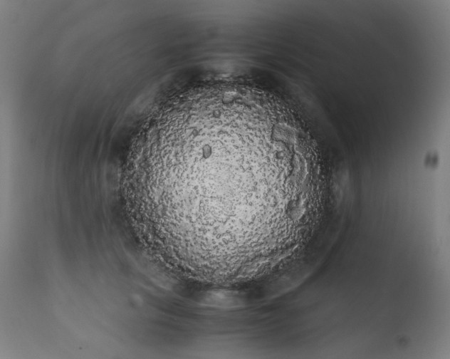 X0000111370657200907171159