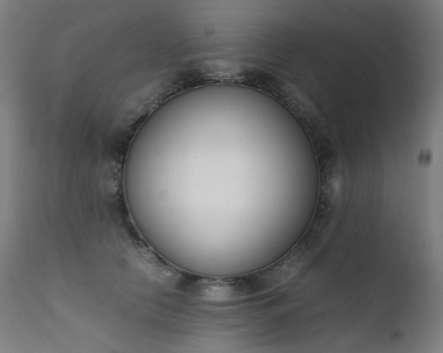 X0000111370658200907171159