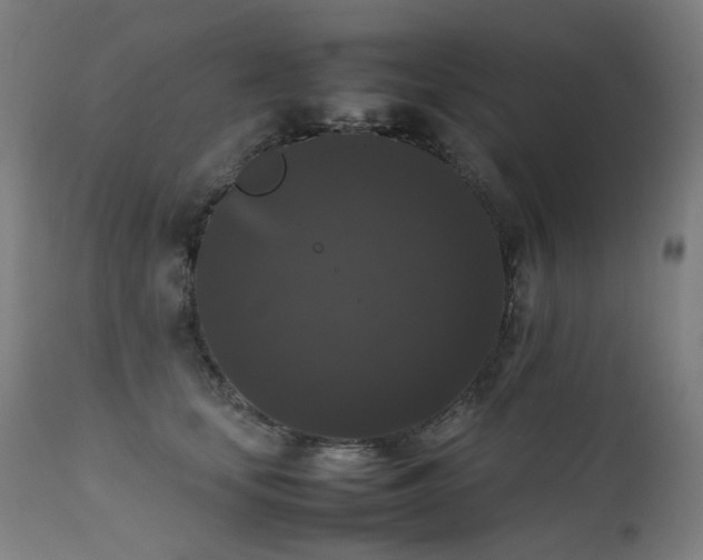 X0000111370659200907171159