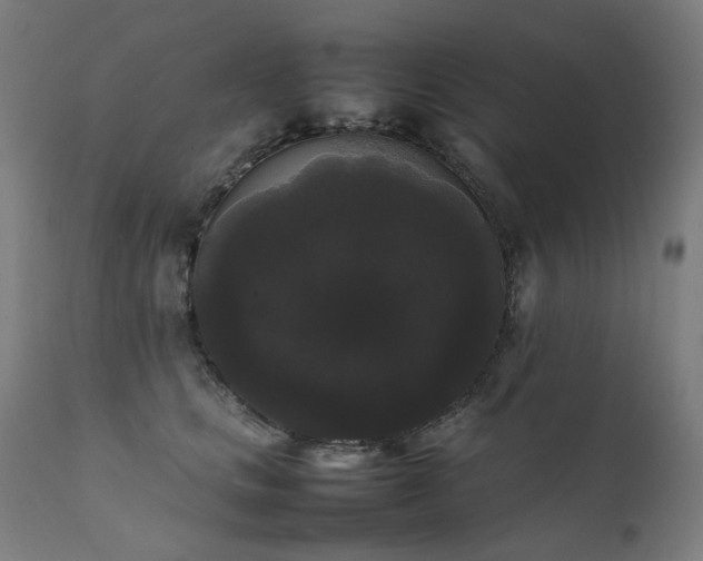 X0000111370661200907171159