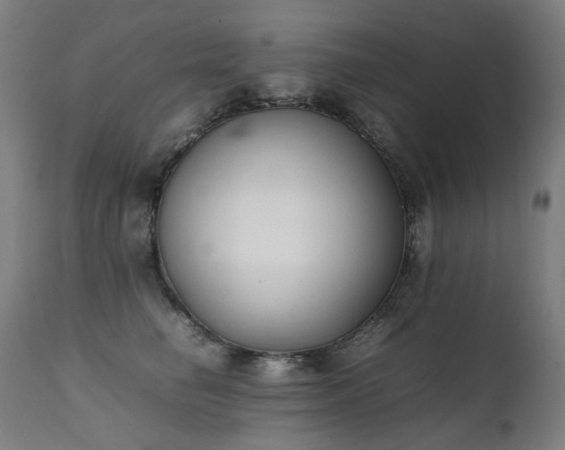 X0000111370662200907171159