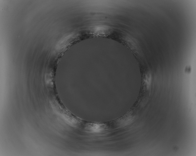 X0000111370663200907171159