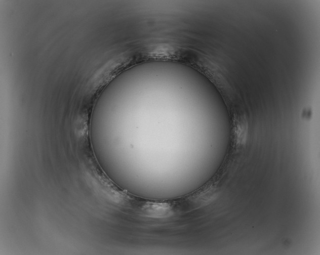 X0000111370665200907171159