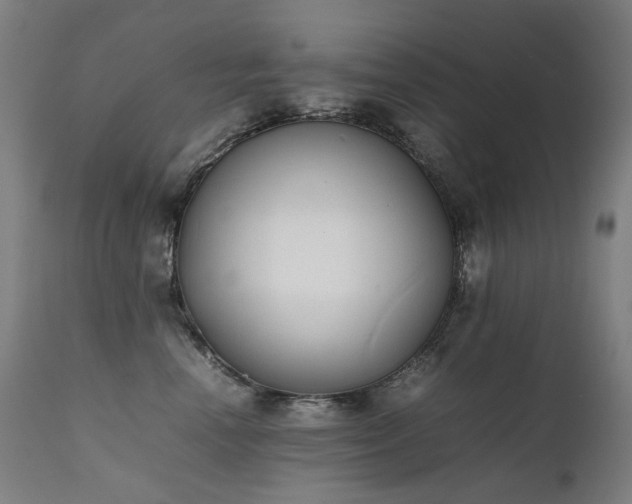 X0000111370666200907171159