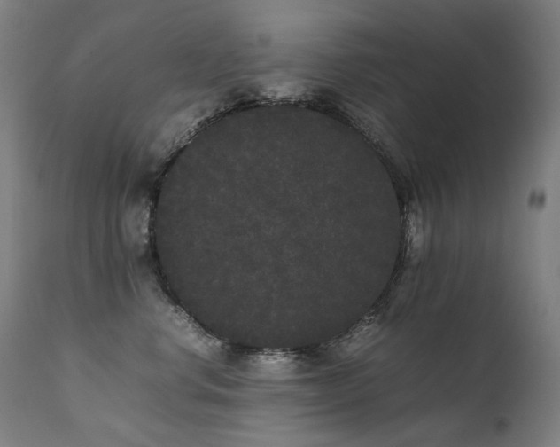 X0000111370668200907171159