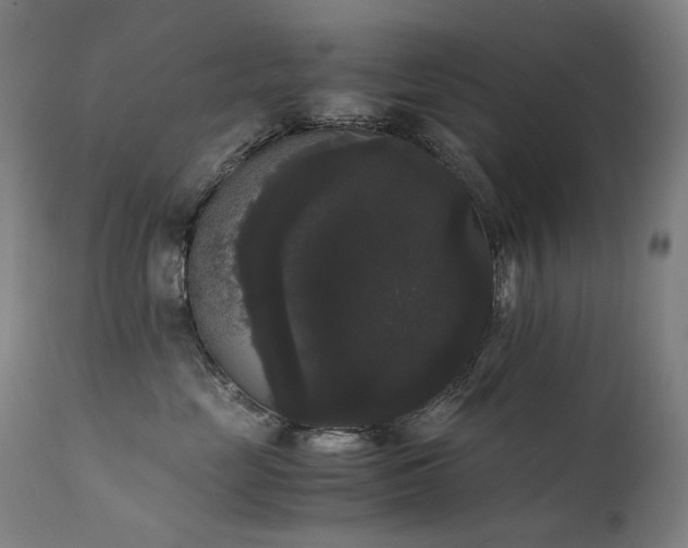 X0000111370669200907171200