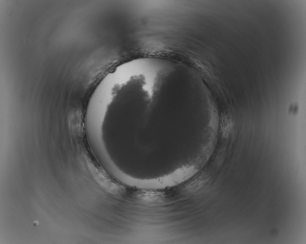 X0000111370670200907171200